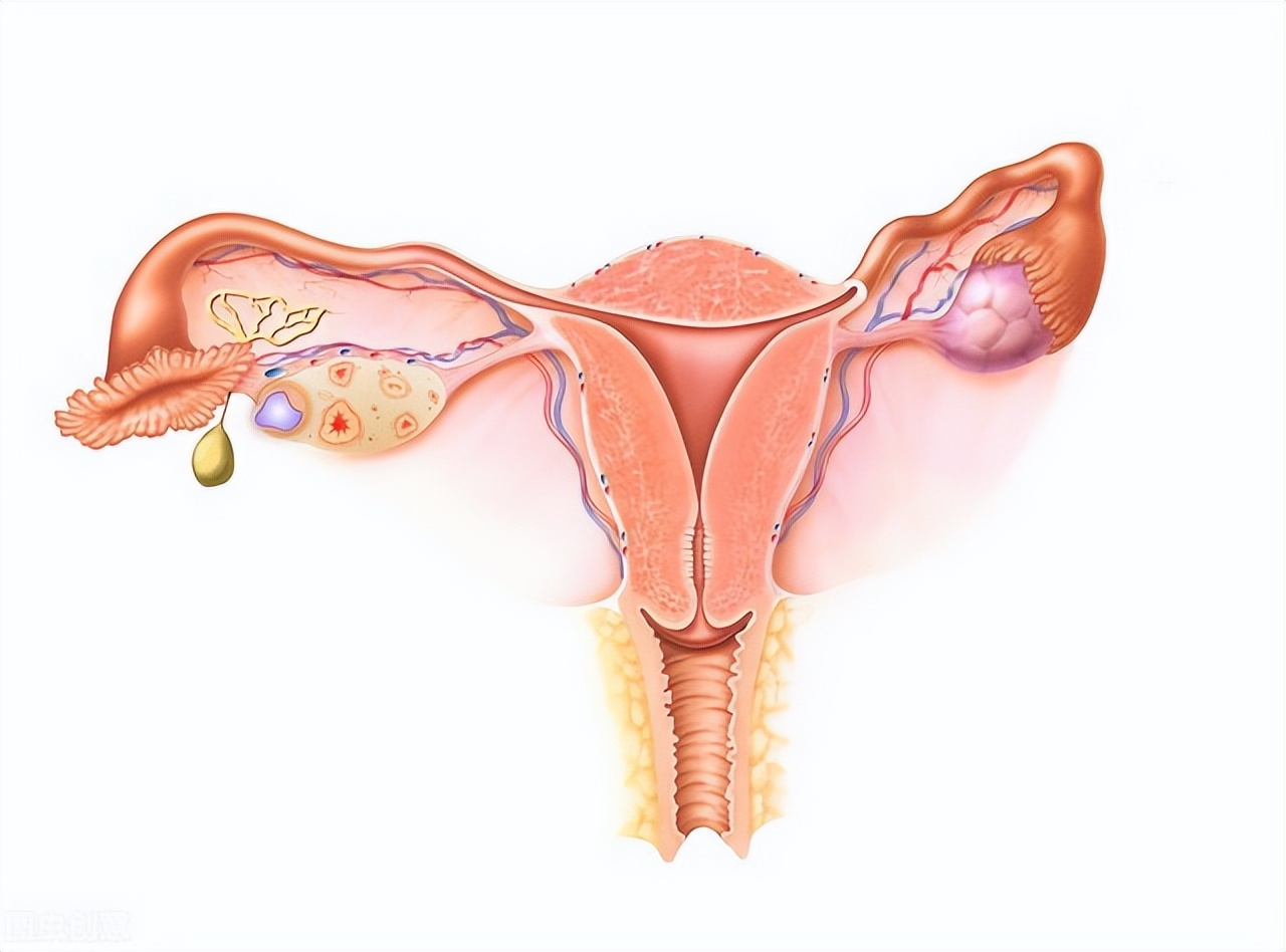 人流多体质差中医怎么调理,中医可以治疗人流后月经量少吗