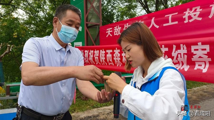 以虫治虫,以虫治虫行不行