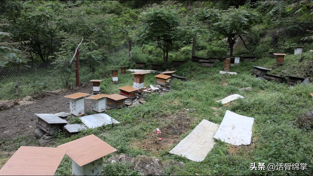 六五环境日关爱自然图片,六五环境日是什么