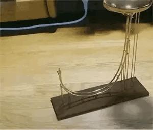 狗子看猫咪很轻松地就上去了，也学着来，结果把猫咪的窝给砸了