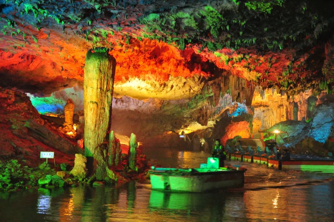 到咸宁看国宝过大年,离家45年的国宝回湖北咸宁过年