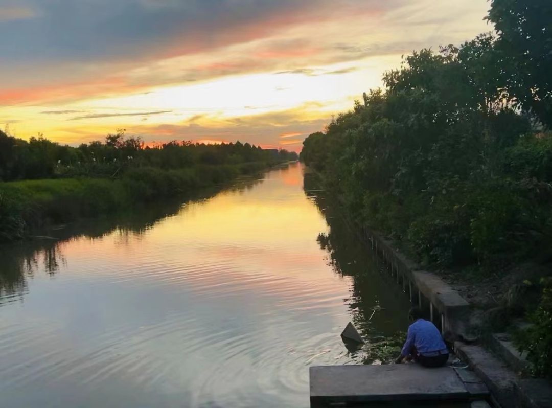 心动！那些藏在崇明民宿里的初秋小美好