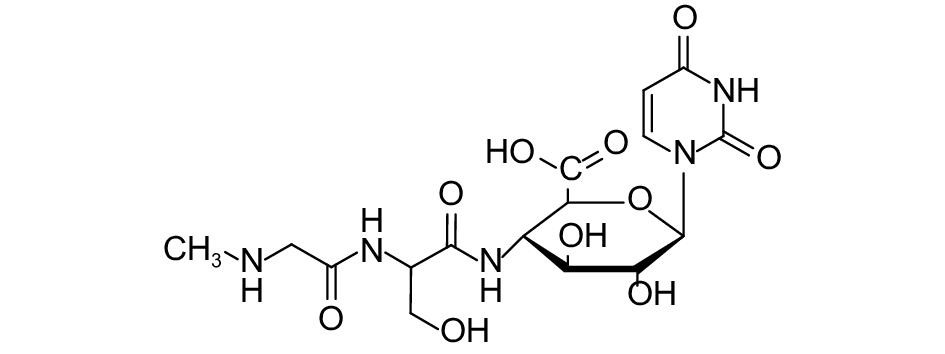 光催化还原二氧化碳的机理图,光催化还原二氧化碳怎么操作