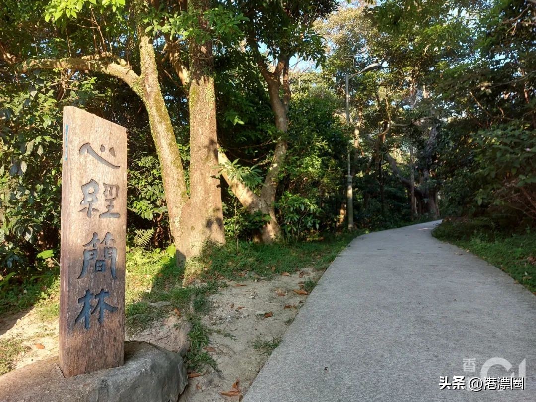 香港失踪未解之谜,香港西贡结界离奇失踪案件档案