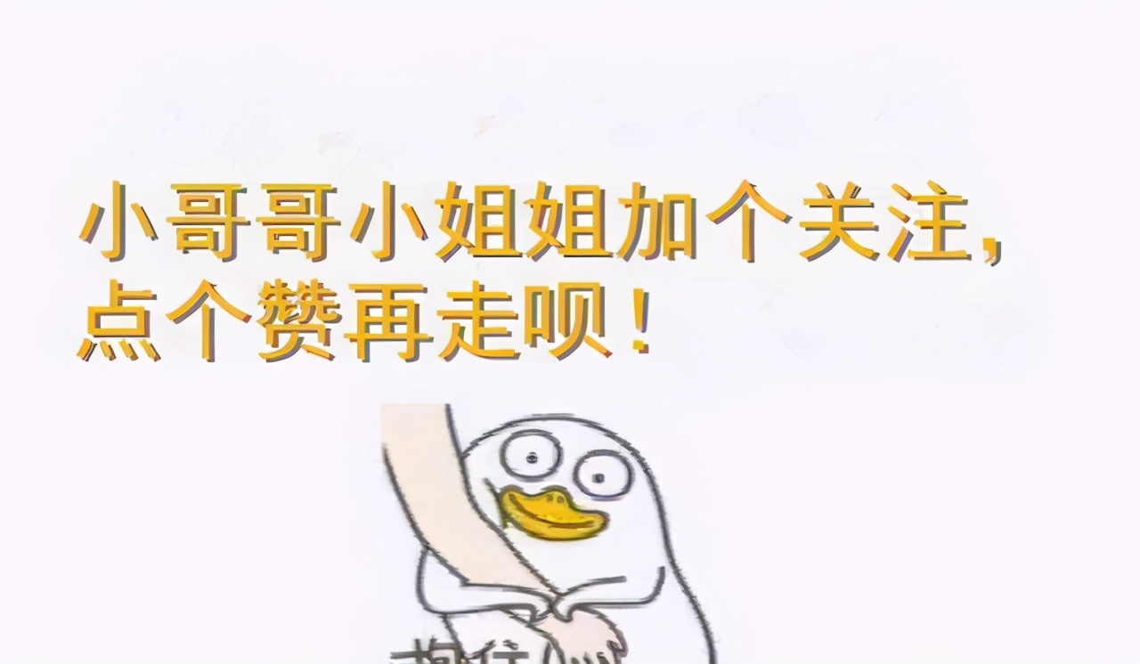 什么猫咪最好养而且不怎么生病,什么猫咪好养不容易生病