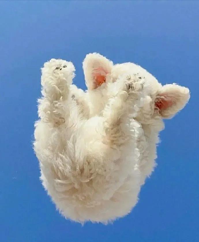 近期敲可爱的微信头像大合集,微信头像真人孩子可爱超萌可保存