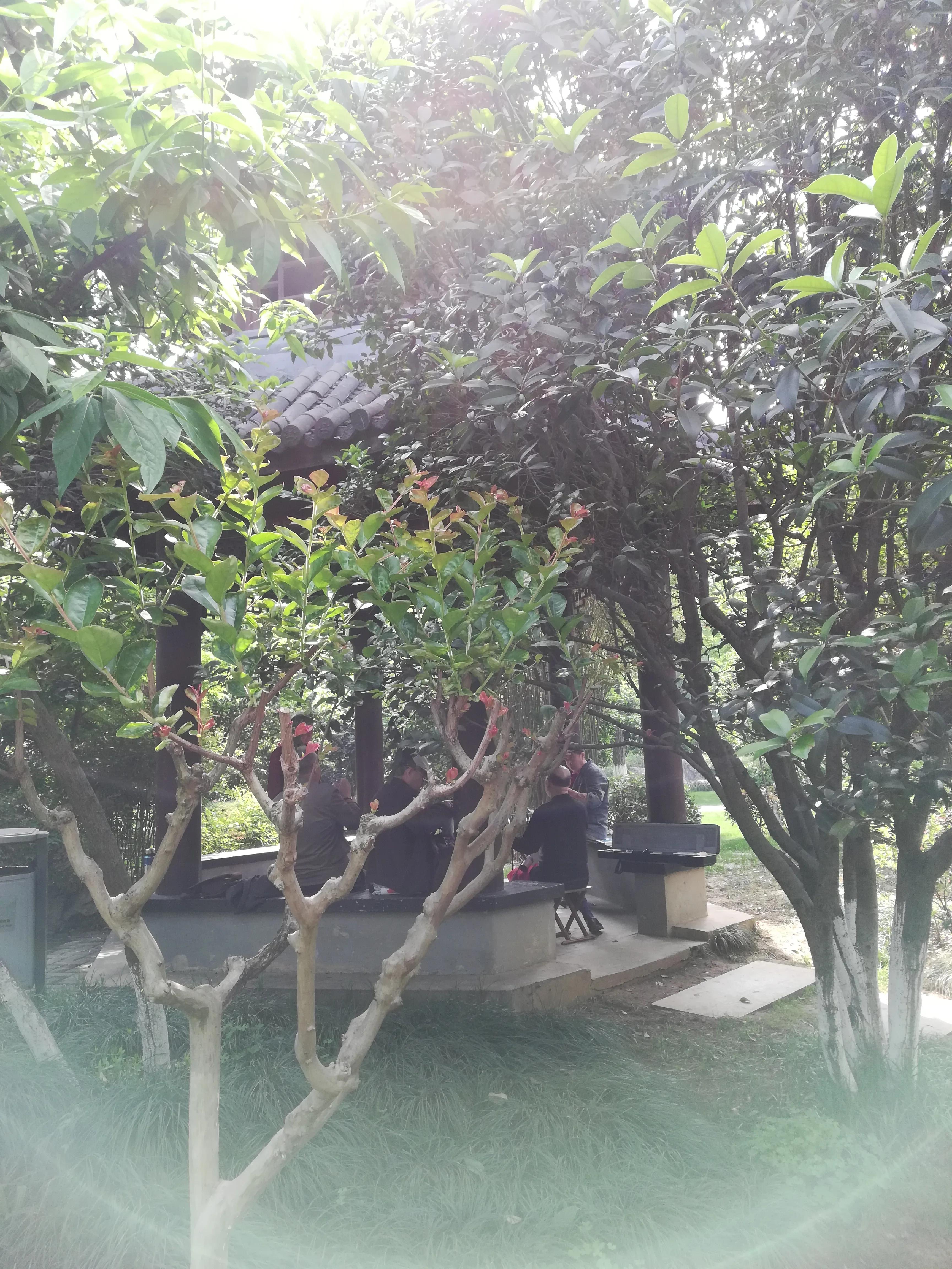 珍珠翡翠白玉汤相声,珍珠翡翠白玉汤