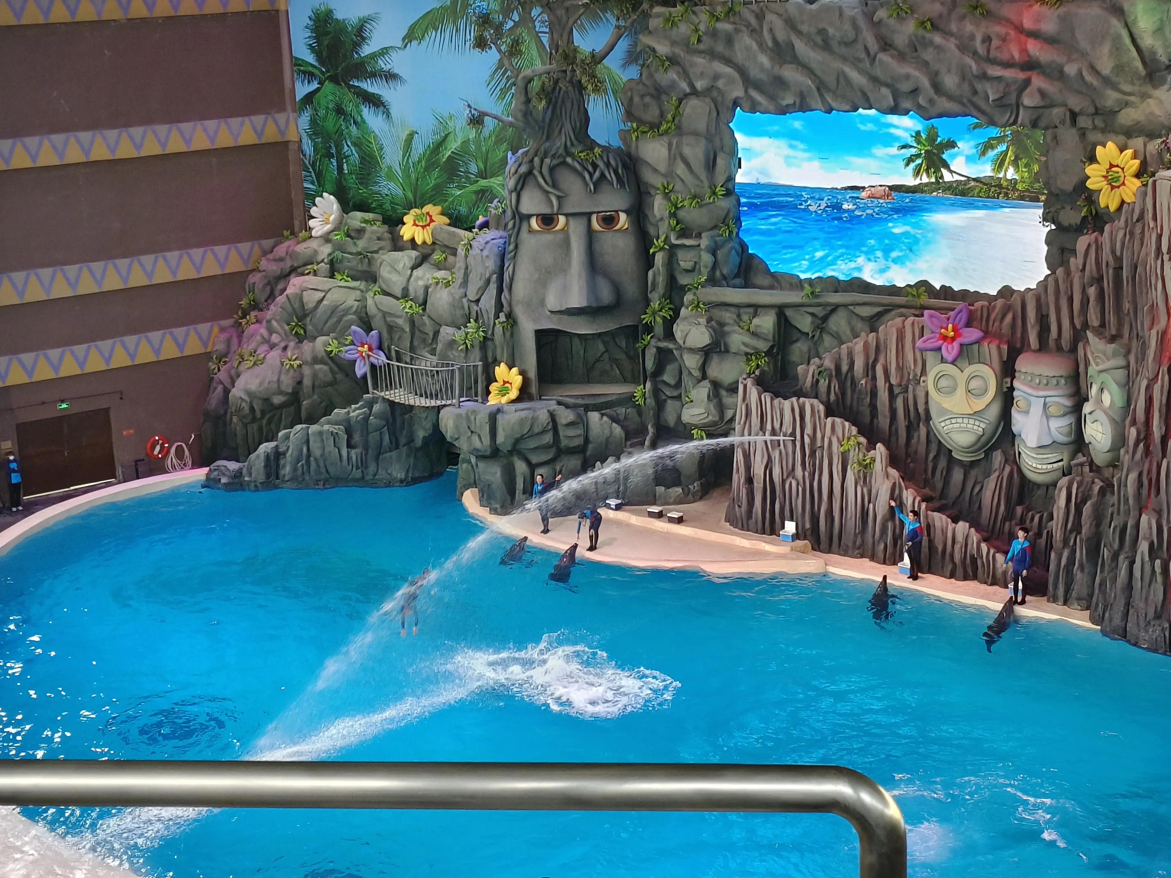 自驾珠海长隆三天两晚,来回700公里只为了学习更多的知识