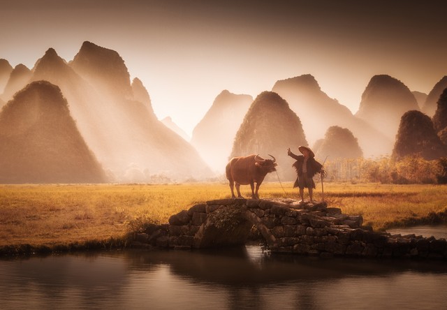 陶渊明田园诗六首,陶渊明的六首田园诗