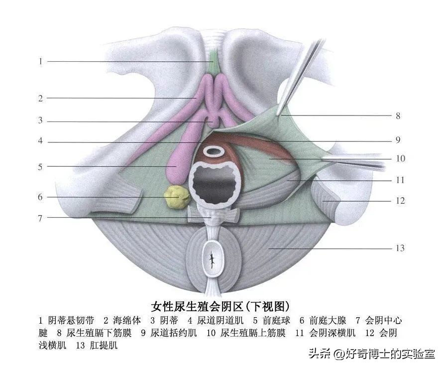 *生活性**时“进不去”怎么办?别担心!这4种方法你一定用得上!