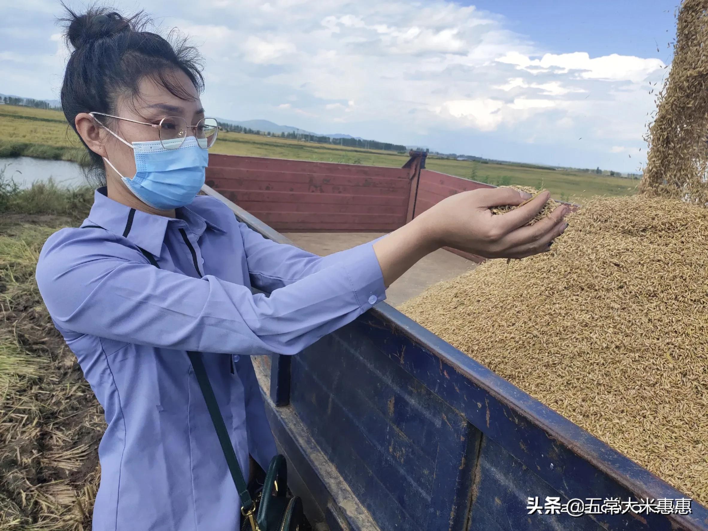 心脏支架后喘不上气,老人做完心脏支架后不能说话