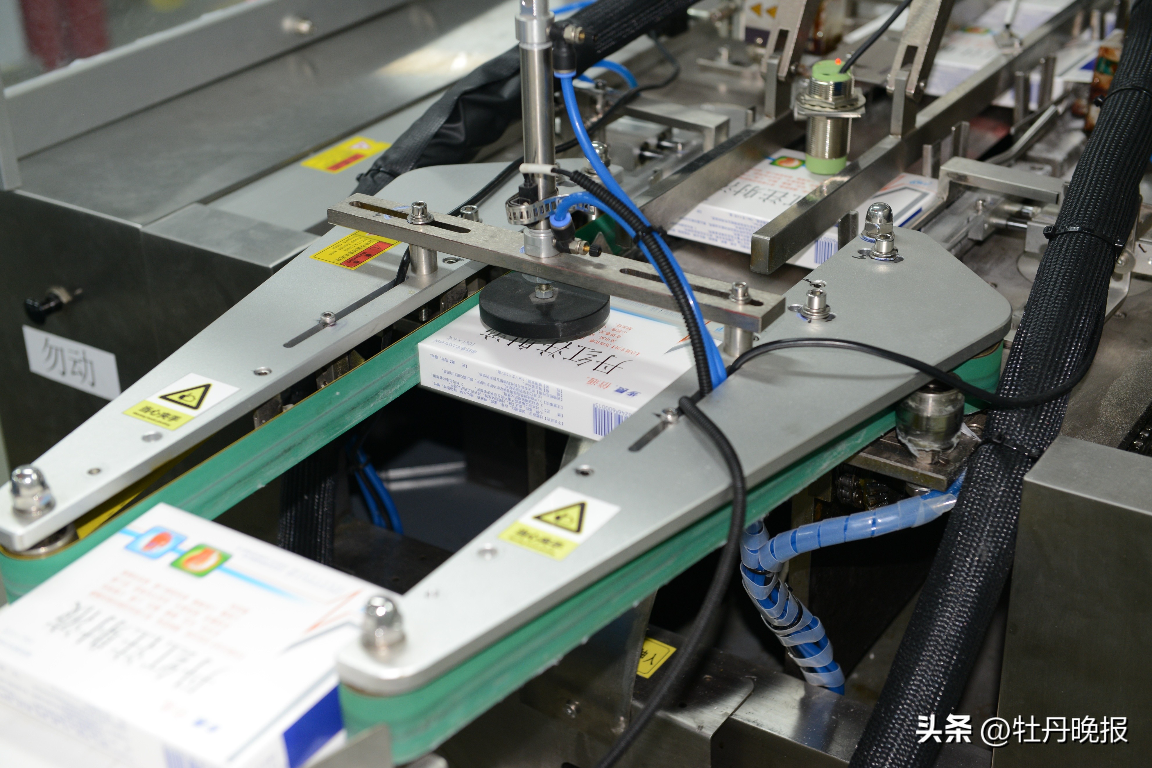 强筋壮骨夯实高质量发展根基,产业开展强链建链补链行动