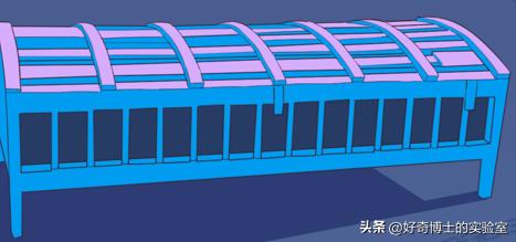 人类十大精神病有哪些,人类治疗精神病的10种离谱手法