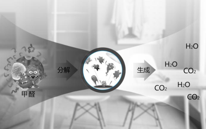 柏格空气净化器价格,诺森柏格空气净化器的优缺点