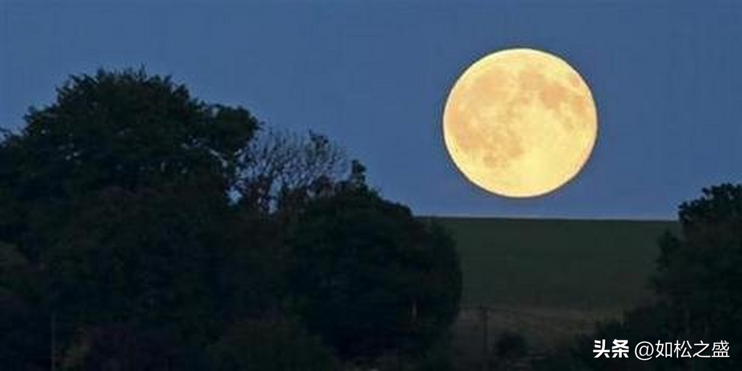 唐诗三百首静夜思唐李白,李白的静夜思诗人看到什么