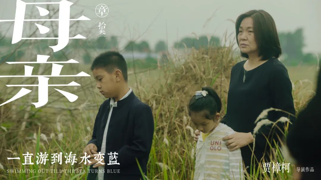 梁鸿关于故乡的句子,梁鸿贾樟柯讲故乡