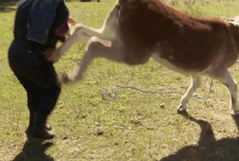 朊病毒致死率100%!无药可救烹煮杀不死，感染后到底有多恐怖？