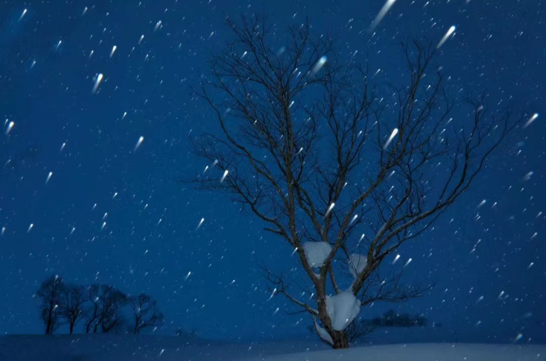 寿司一个月卖1000盒净赚多少,卖寿司年赚400万的小姐姐