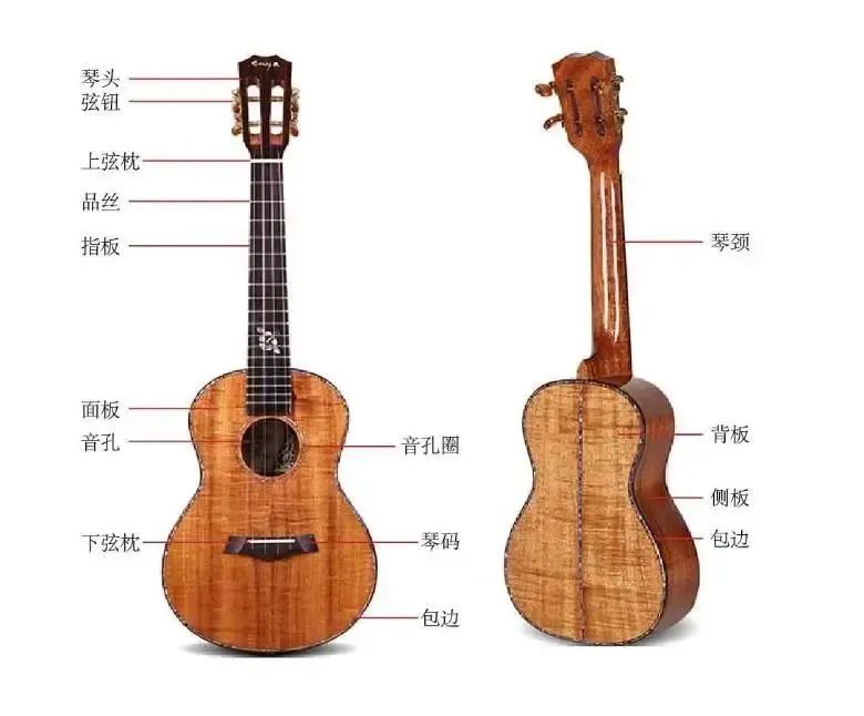 十八般武艺教学分解,尤克里里零基础入门小情歌