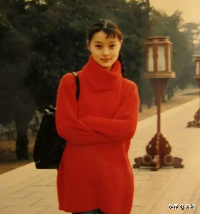 至今未婚的大龄女星有哪些,至今未婚的10位内地大龄女星