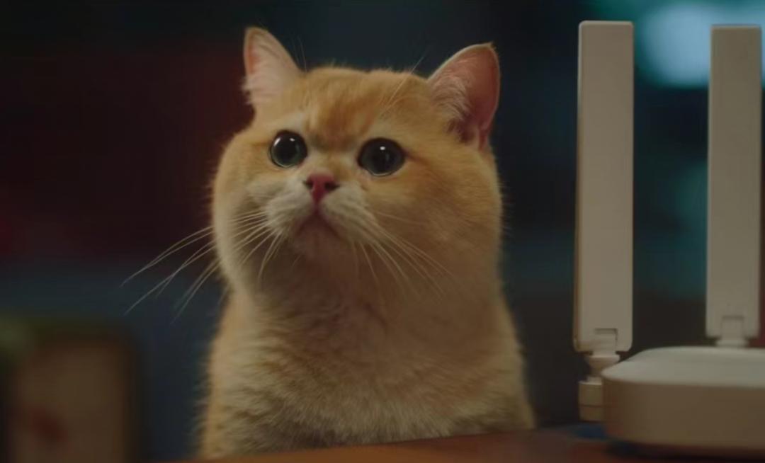 墙壁路由器好不好,晴天路由器穿墙效果