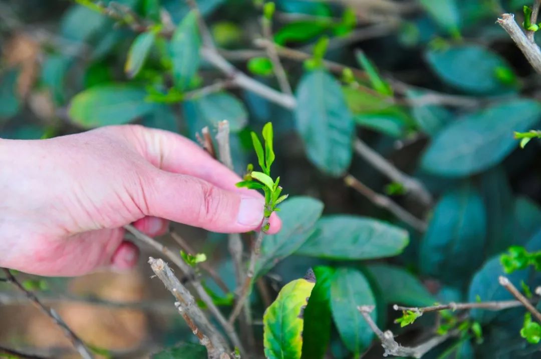 济南五一游玩攻略路线推荐,国庆节济南自驾游最佳攻略