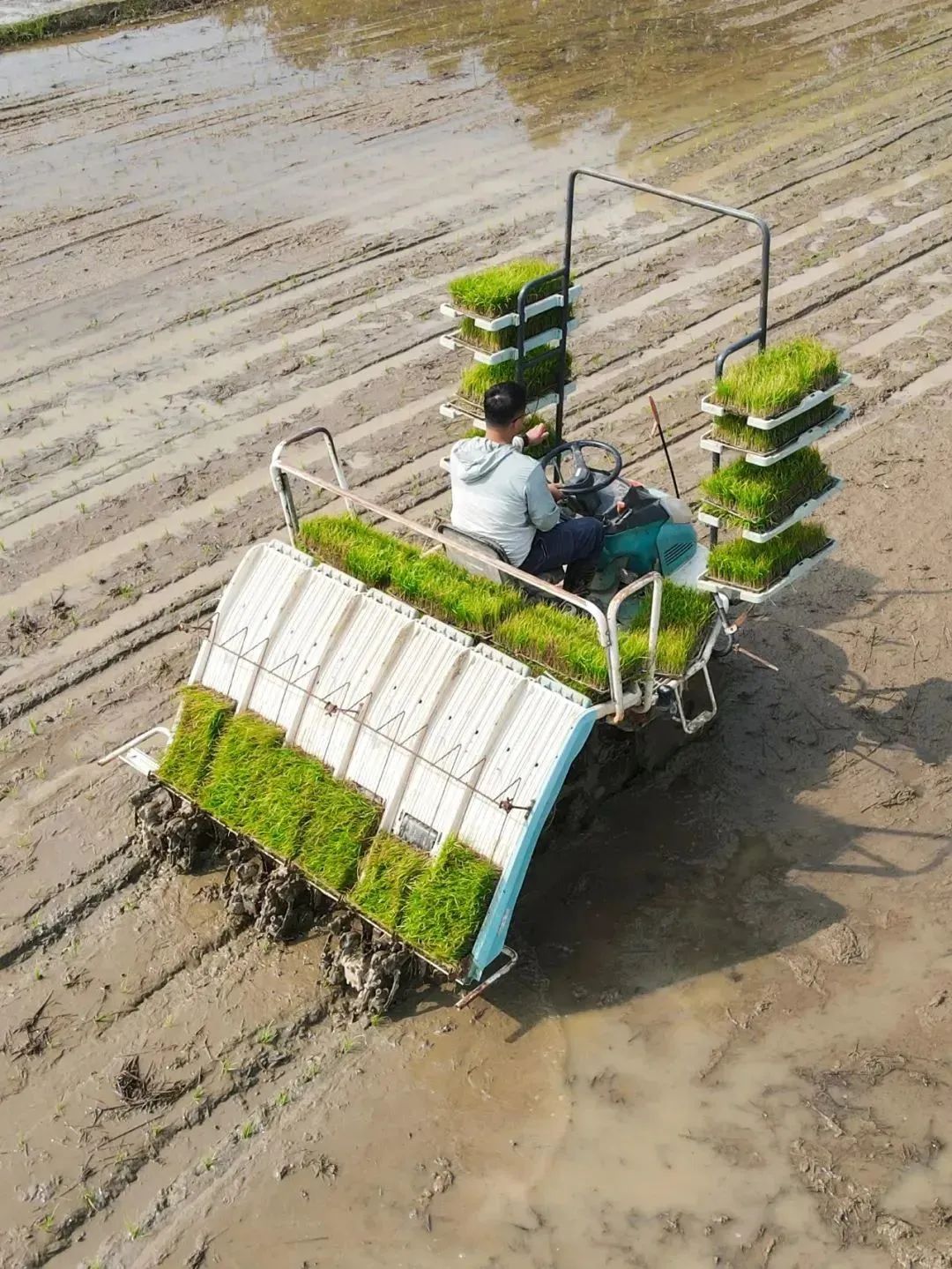 为肇庆高质量发展做出自己努力,奋力推进肇庆改革发展新跨越