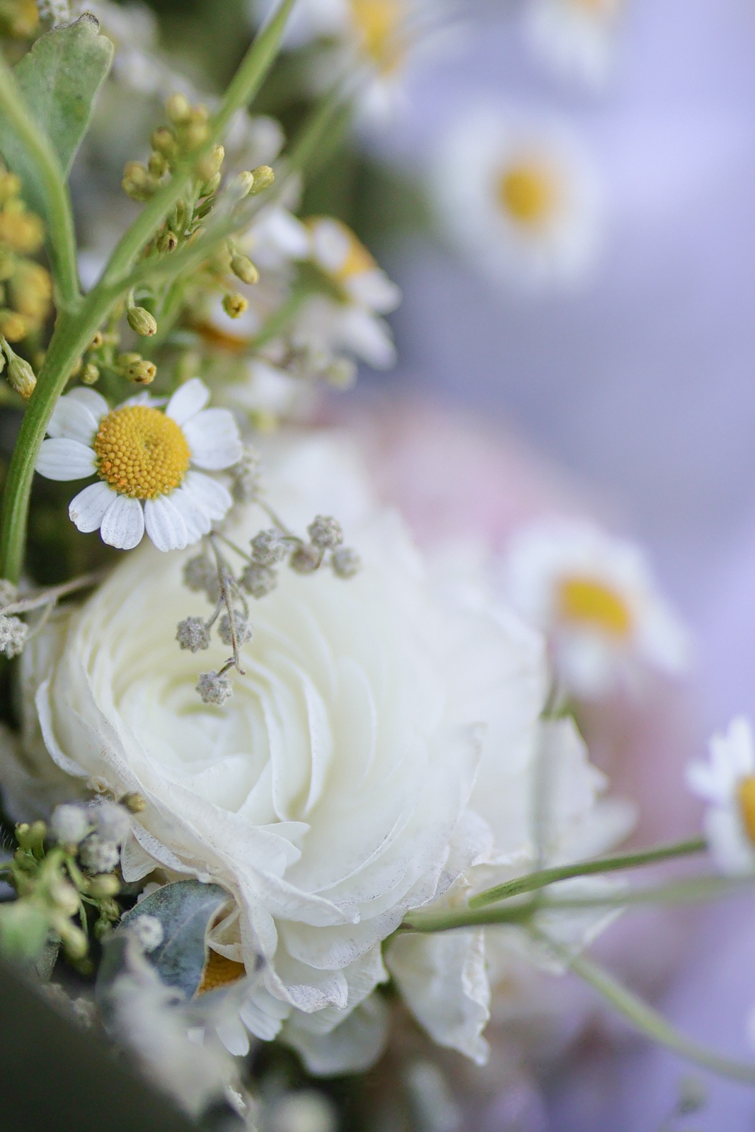 eos佳能轻便小巧,佳能微型相机eos