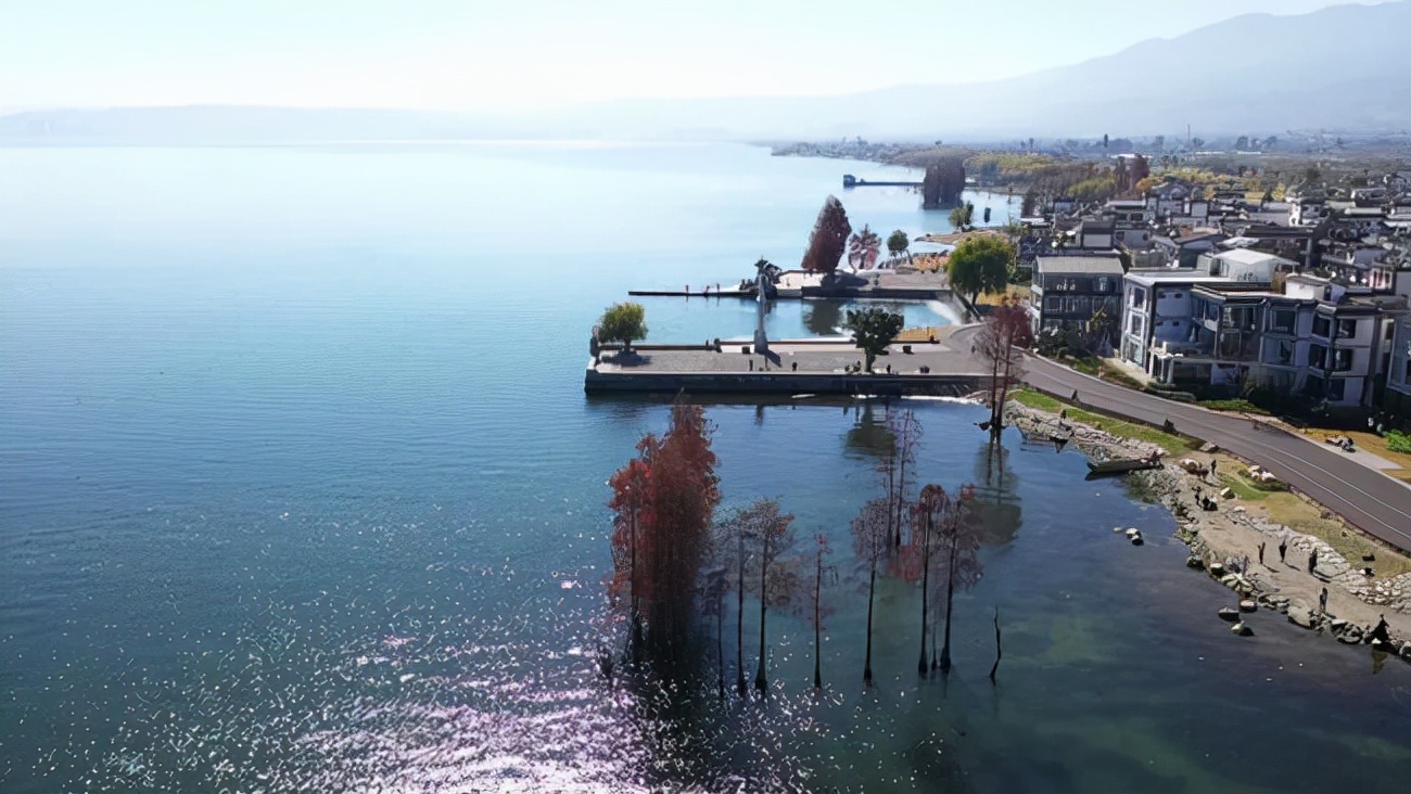 大理战略支柱产业是什么,大理州产业高质量发展