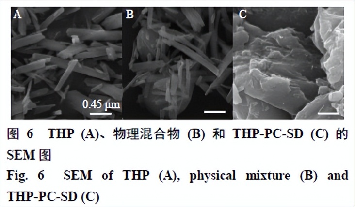 延胡索乙素磷脂复合物及其固体分散体、油制剂、纳米混悬剂的制备