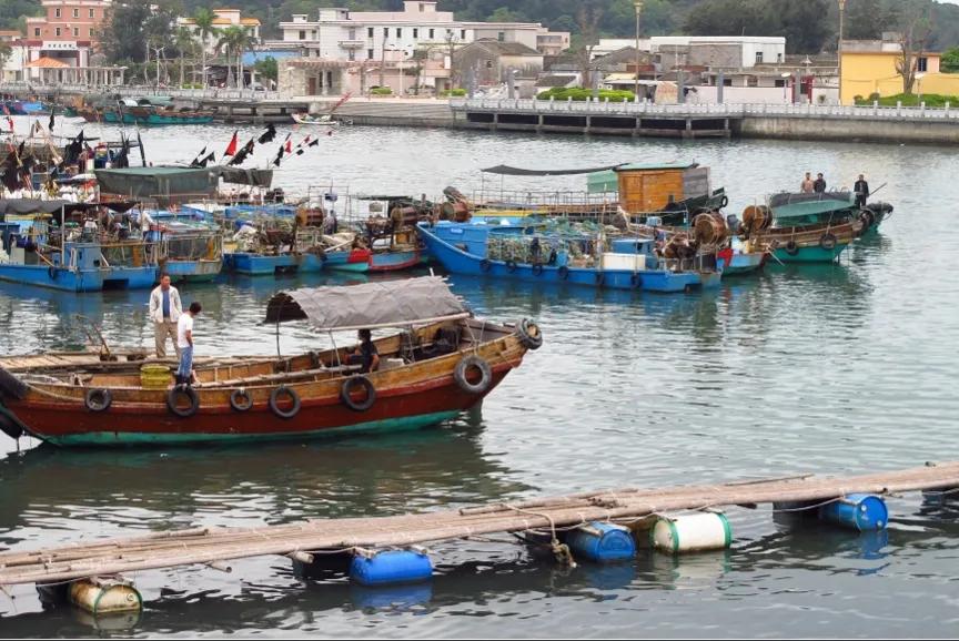 广东渔民捕获大鱼,渔民出海捕到一条106斤的鱼王