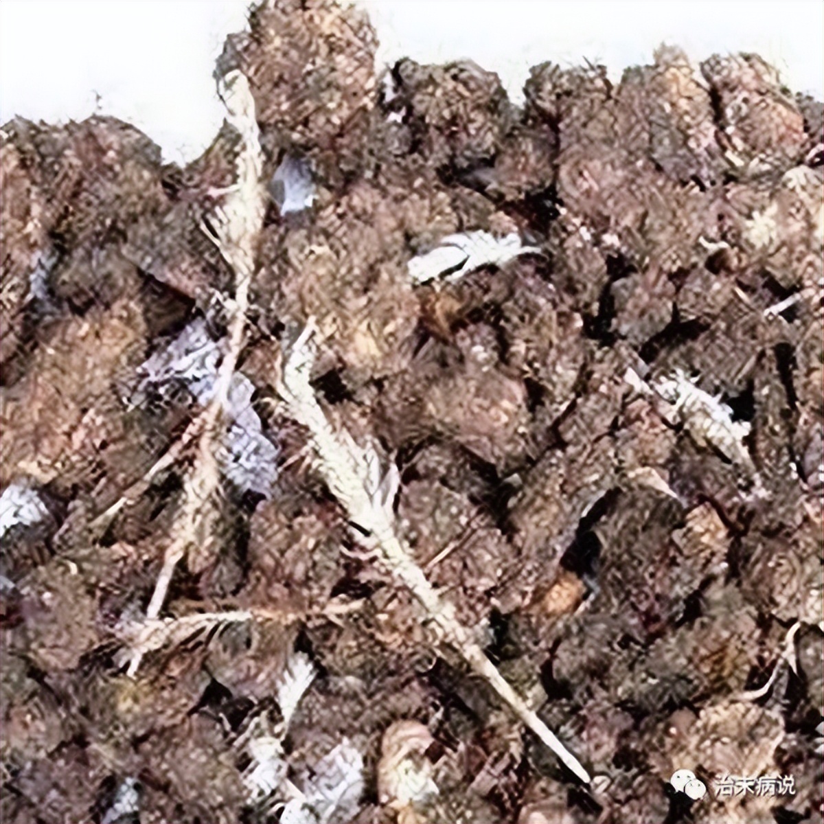 鸡肉有营养又好吃的炖法,鸡肉治什么病