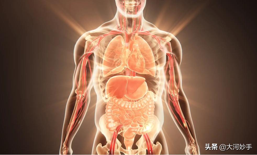 别担心，如果你的身体是歪的，八段锦帮你直起来