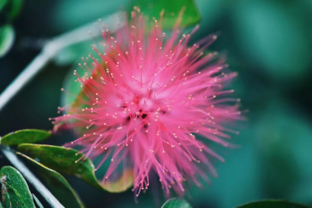 东南亚风情版纳攻略,西双版纳东南亚游