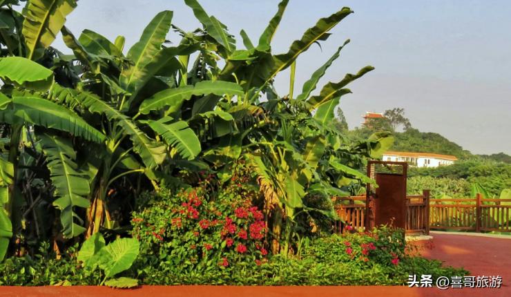 漳州市景点介绍推荐带孩子自驾游,漳州市漳县自驾游