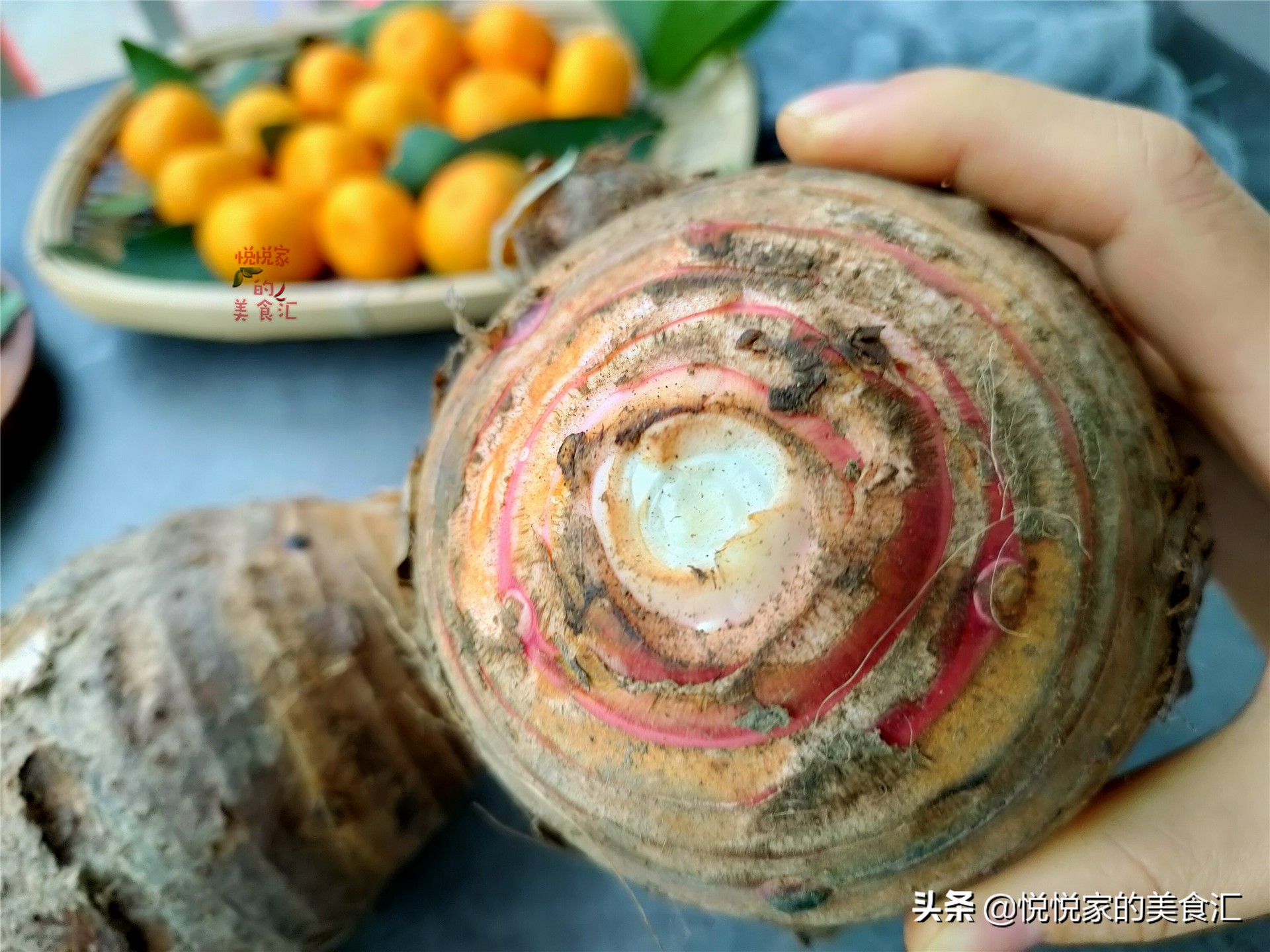 买荔浦芋头攻略,怎样选香芋才是正确的