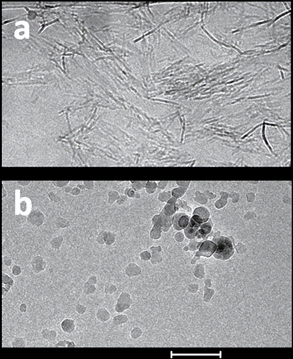 罗非鱼感染嗜水气单胞菌怎样治疗,罗非鱼病毒