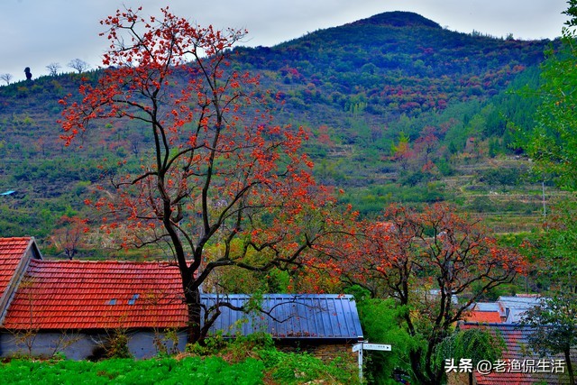 弟弟欠我三千块钱不还,弟弟欠我几万块几年都不还