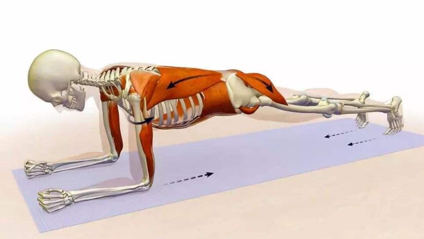 平板支撑一招搞定,各种明星平板支撑视频