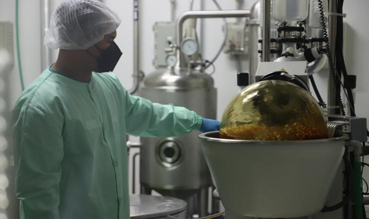 要为“娱乐*麻大**”开绿灯？泰国，看来真要成为一个“麻香之国”了