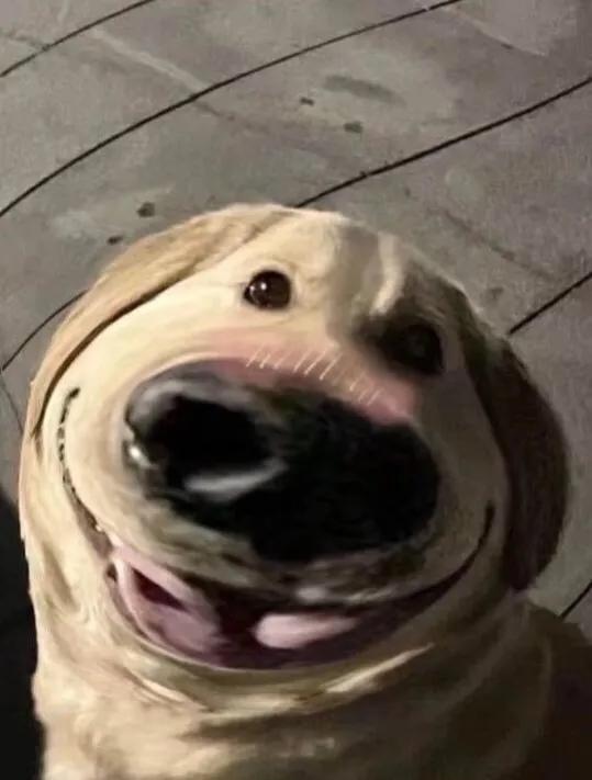 加了心仪女孩子的微信，第一句不知道怎么说？来看看别人怎么说的