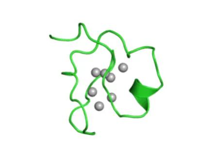 金属硫蛋白为什么可以螯合重金属,mt金属硫蛋白医美怎么使用