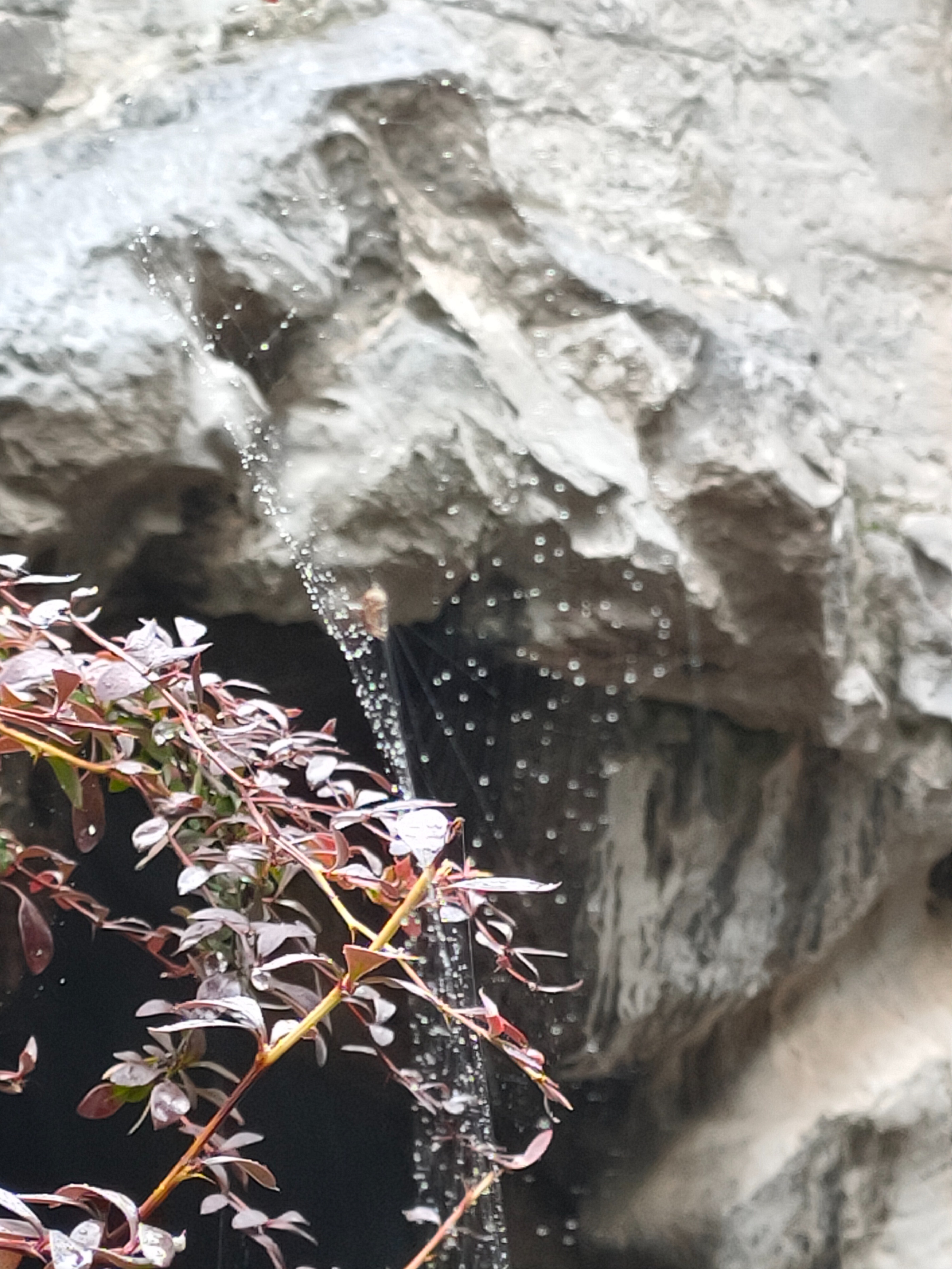 《西游妖物志》：天罗地网蜘蛛精