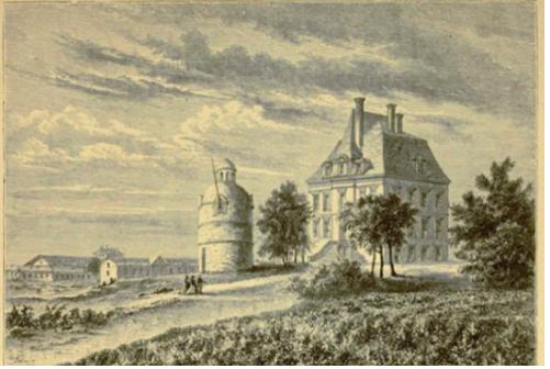 拉菲区分,拉菲分几种