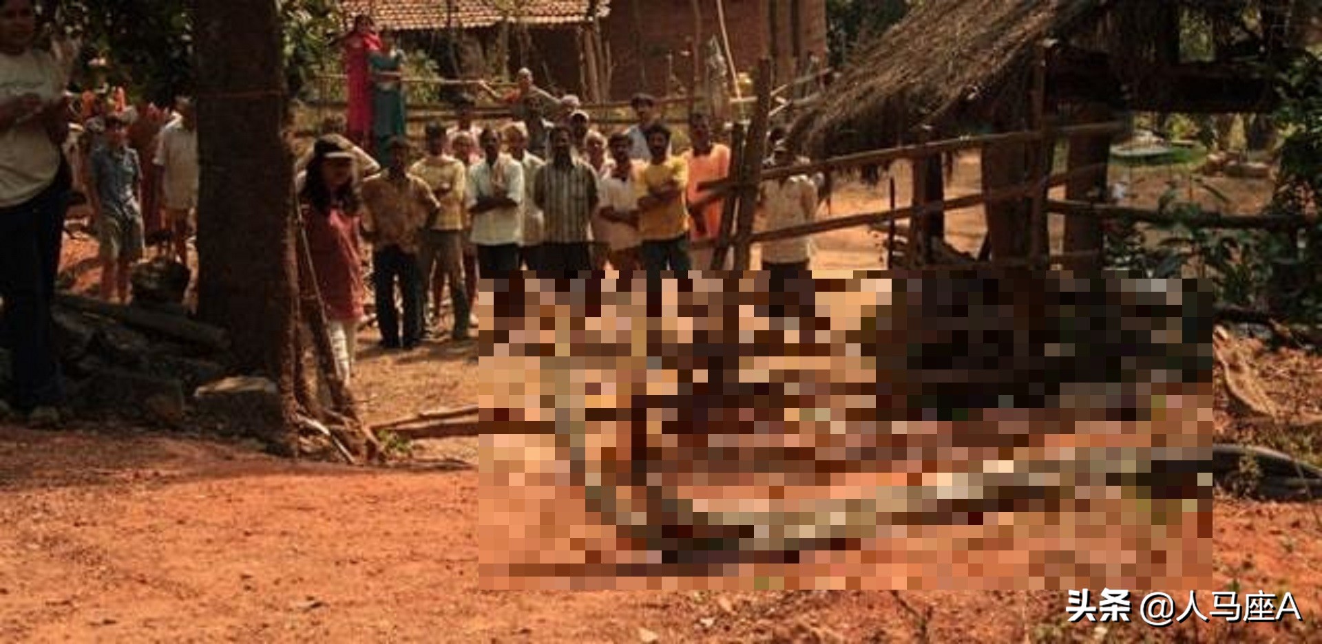 广东一家里出现3米长眼镜蛇,250厘米长眼镜蛇潜入家中惊心动魄