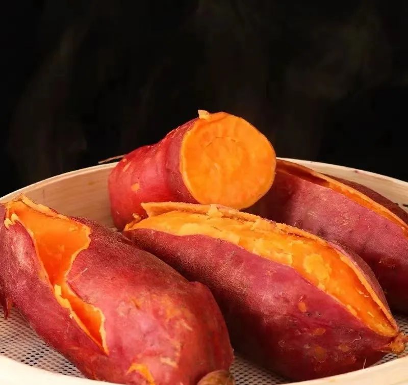 农业主题公园怎么打造,世界最成功的农业主题公园