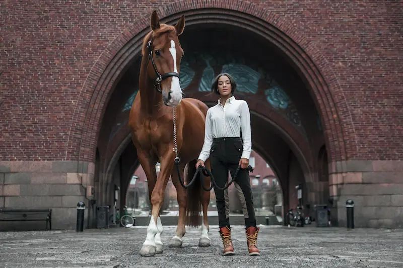 中国马术服饰的优势和劣势,国际一线品牌风格特征