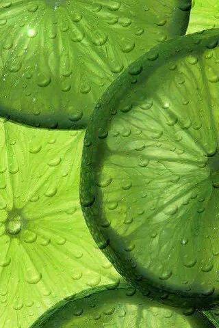 姘翠腑鏌犳澹佺焊,鏌犳澹佺焊澶村儚