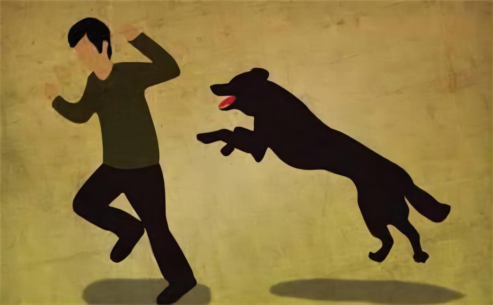 为什么狂犬病发作后死亡率高,为什么狂犬病发作100%致死率