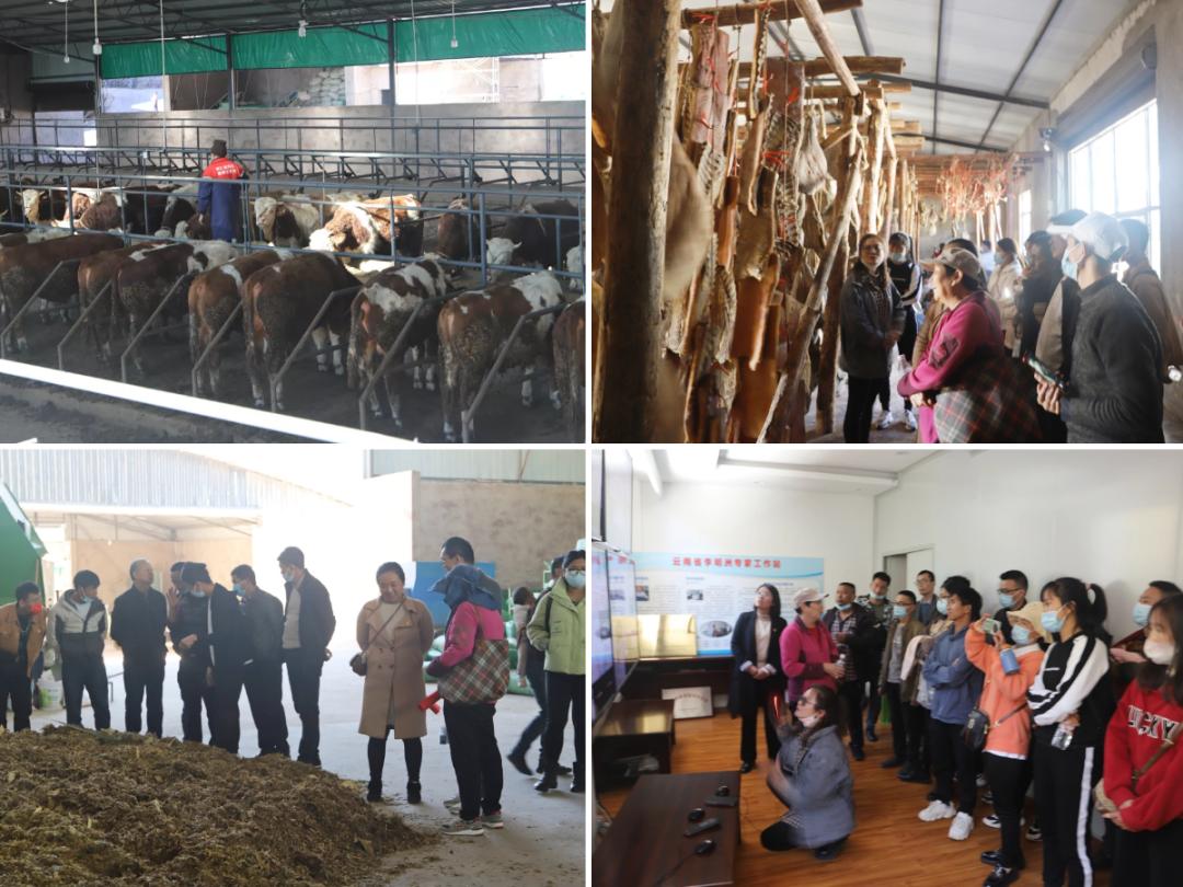 国际农业发展基金贷款优势,国际农业基金贷款项目